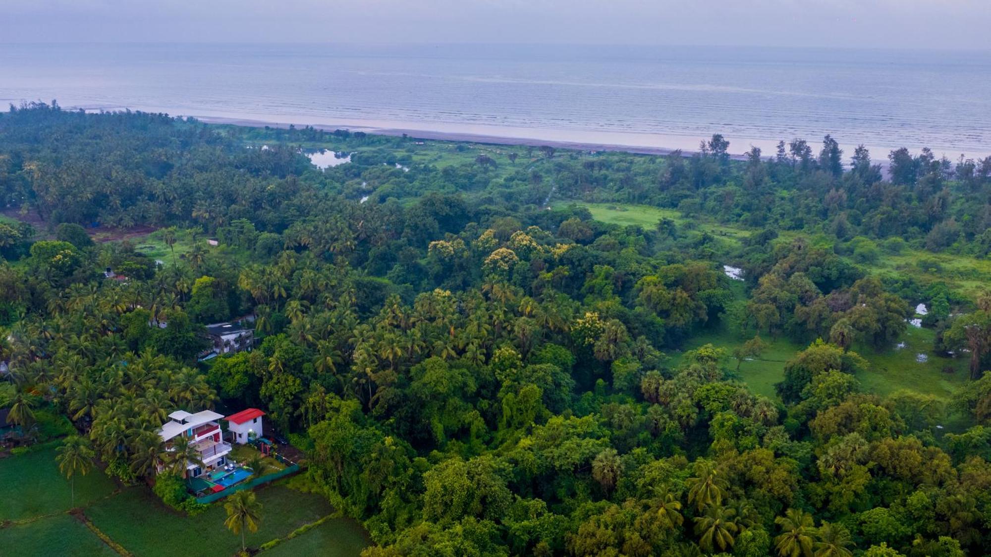 Spicy Mango Villa Elegano - Luxurious Villa Near Nagaon Beach, Alibag ภายนอก รูปภาพ